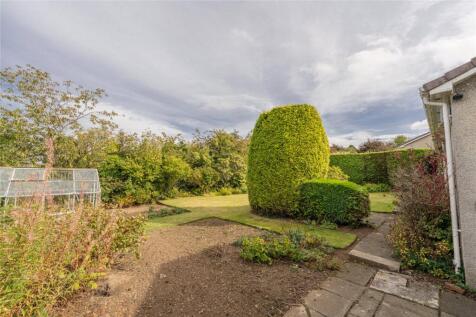 Rear Garden Alt