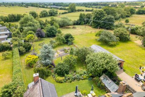 aerial view of garden