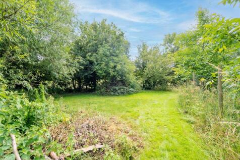 wild garden to rear