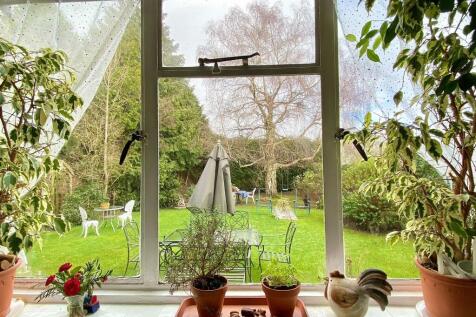 view from kitchen
