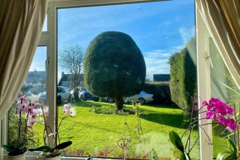 view from living room