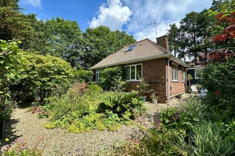 rear garden to house