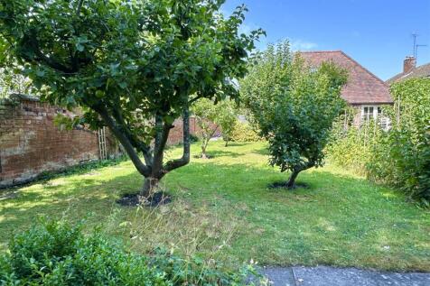 orchard