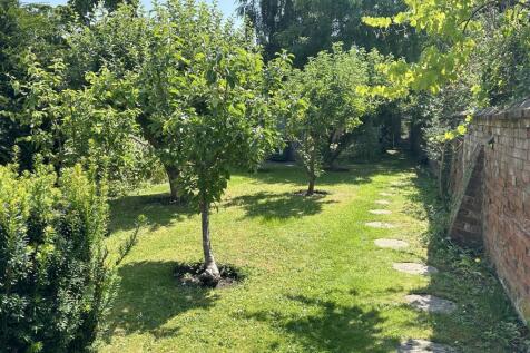 orchard