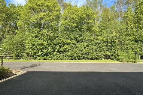 view from front door