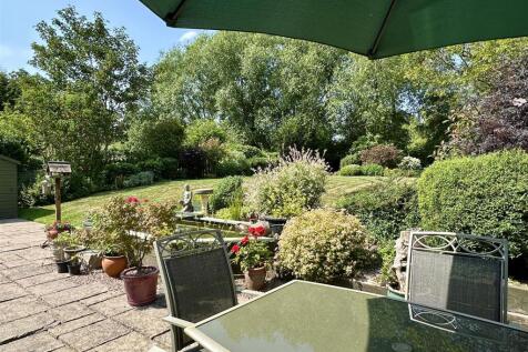 garden (from patio)