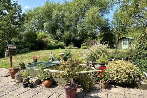 garden from patio