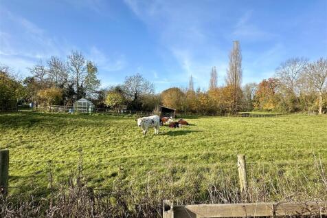 view behind garden