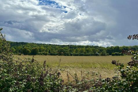 view over the hedge