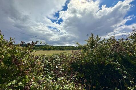 view over the hedge