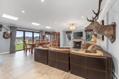 living room /dining