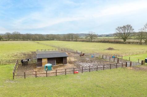 stables &amp; paddock