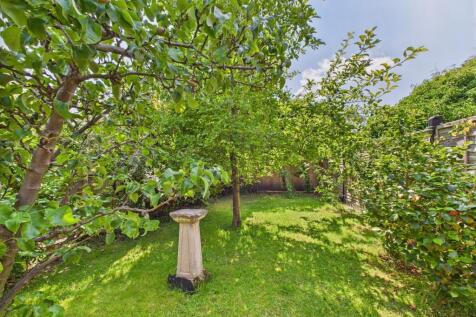 Garden 4