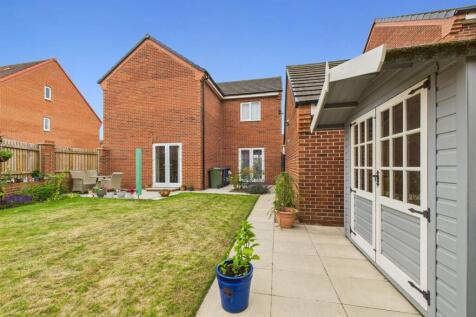 Back garden