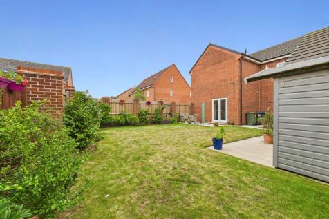 Back garden