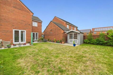 Back garden