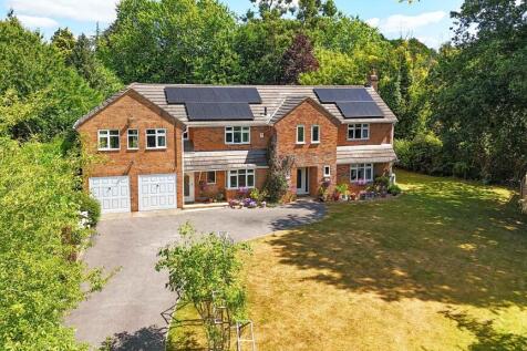 Property Image 33