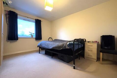 Picture 8