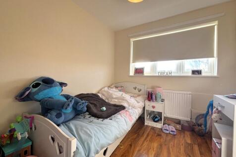 Picture 13