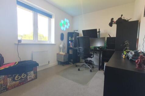 Picture 13