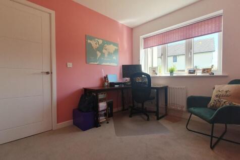 Picture 19