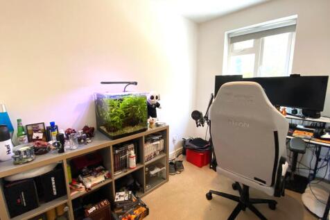 Picture 8