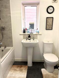 Picture 21