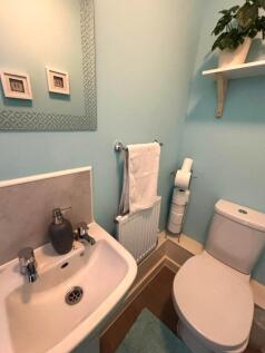 Picture 25