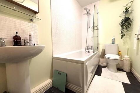 Picture 14
