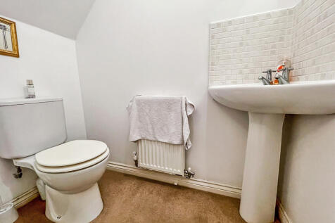 Picture 7
