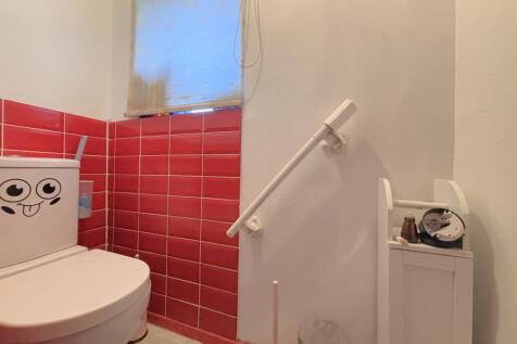Picture 13