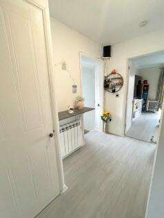 Picture 7