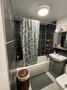 Picture 8