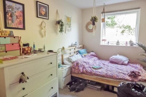 Picture 7