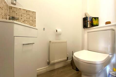 Picture 8