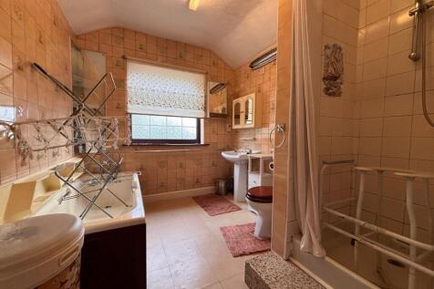 Picture 15