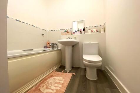 Picture 13