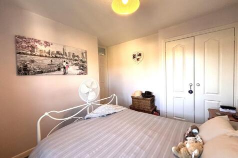 Picture 7
