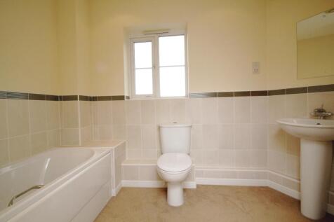 Picture 7