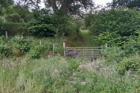 Plot Entrance
