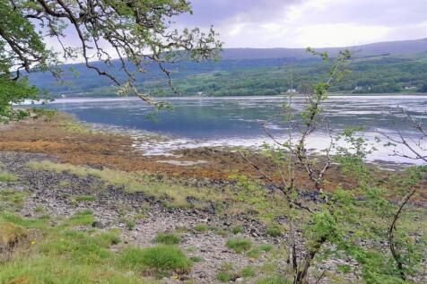 View From Roadside