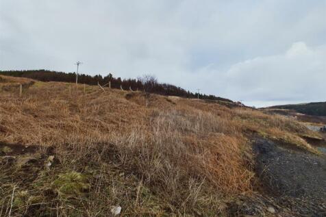 Plot Rear Elevation