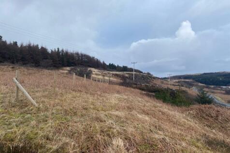 Plot Rear Elevation
