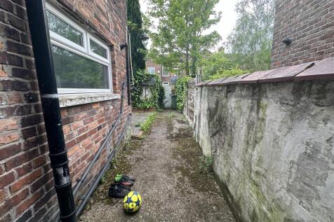 67da.yard.JPG