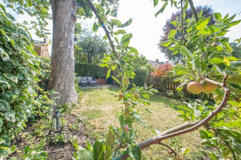 Property Image 59