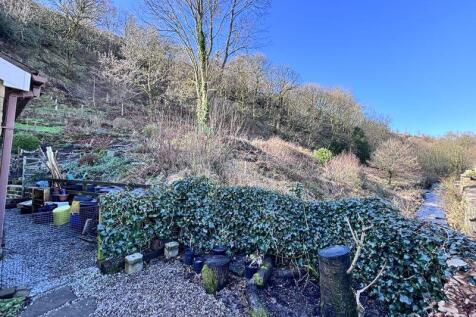 Garden &amp; views