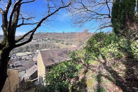 Views from the garden