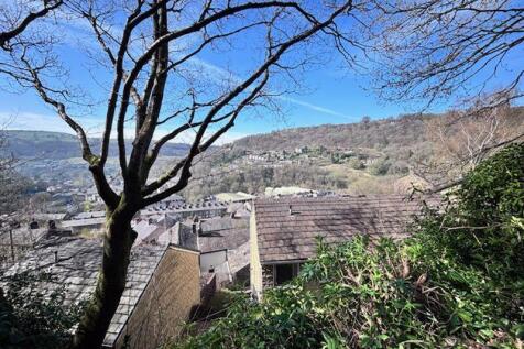 Views from garden