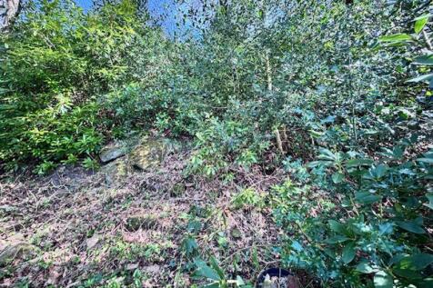 Top of the garden