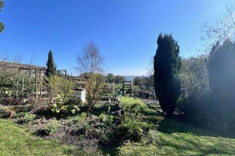Vegetable Garden